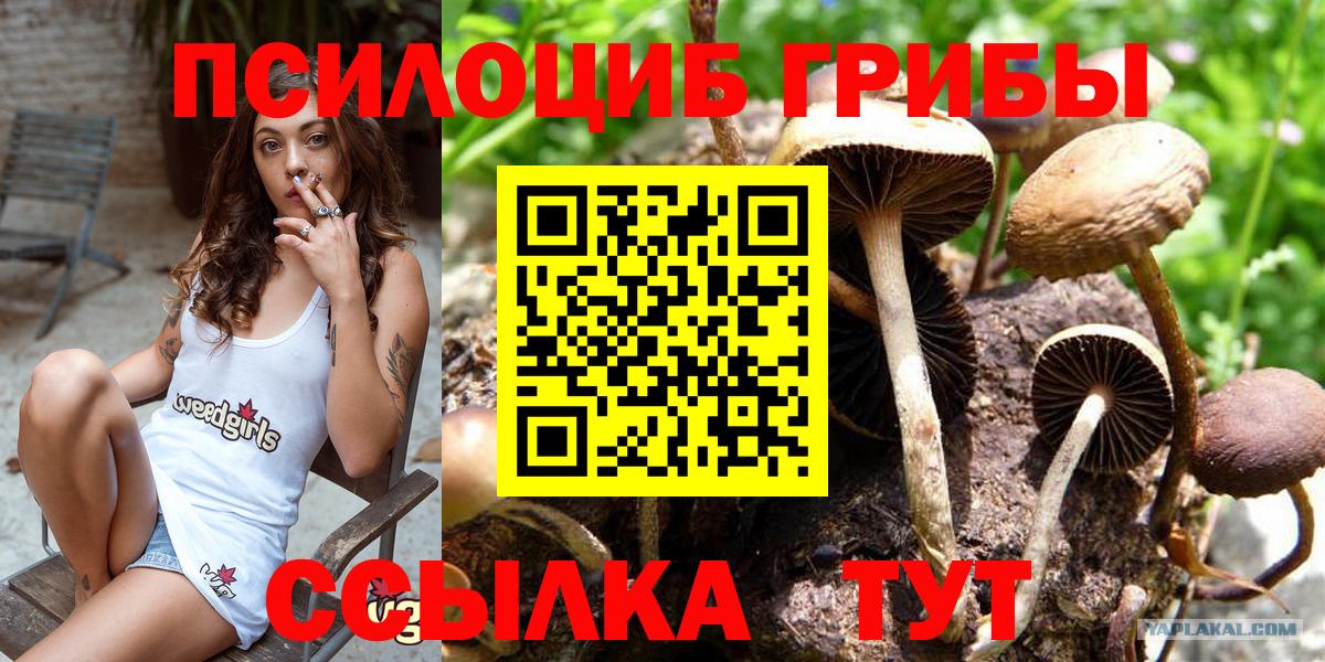 Галлюциногенные грибы Psilocybine cubensis  Вход с VPN  Псков 